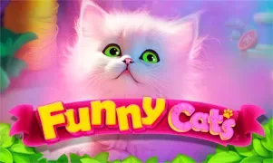 Funny Cats